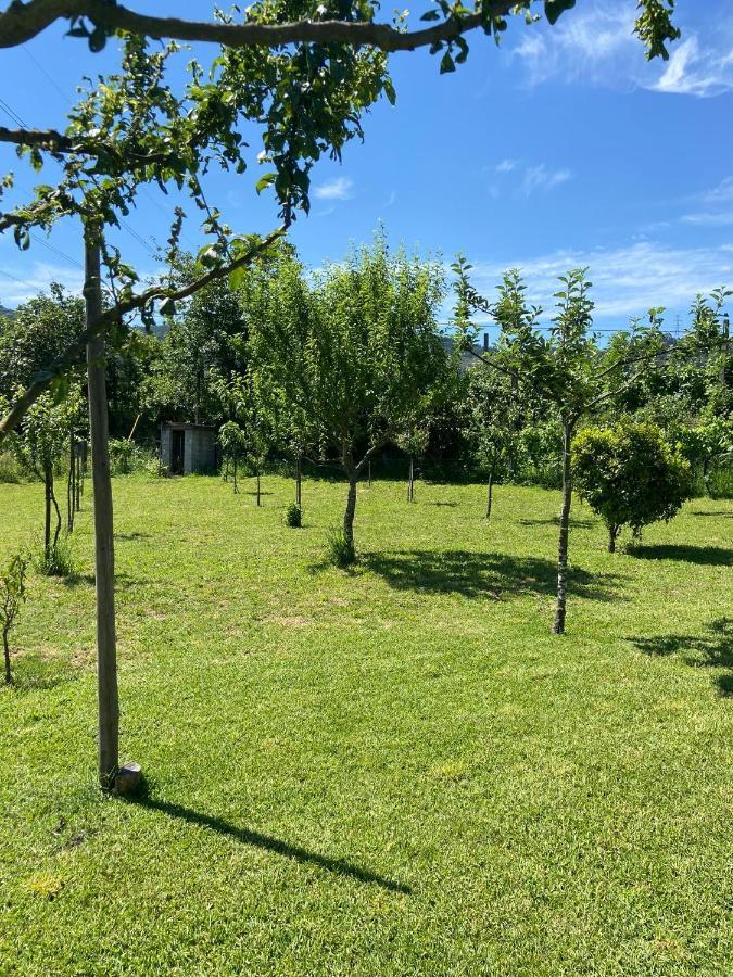 Villa Casa Dos Avos Póvoa de Lanhoso Esterno foto